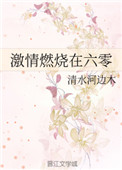 激情燃烧在六零番外